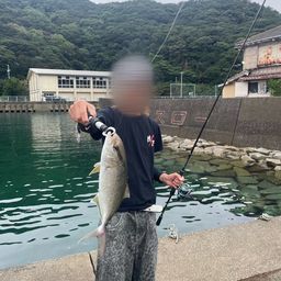 ネリゴ