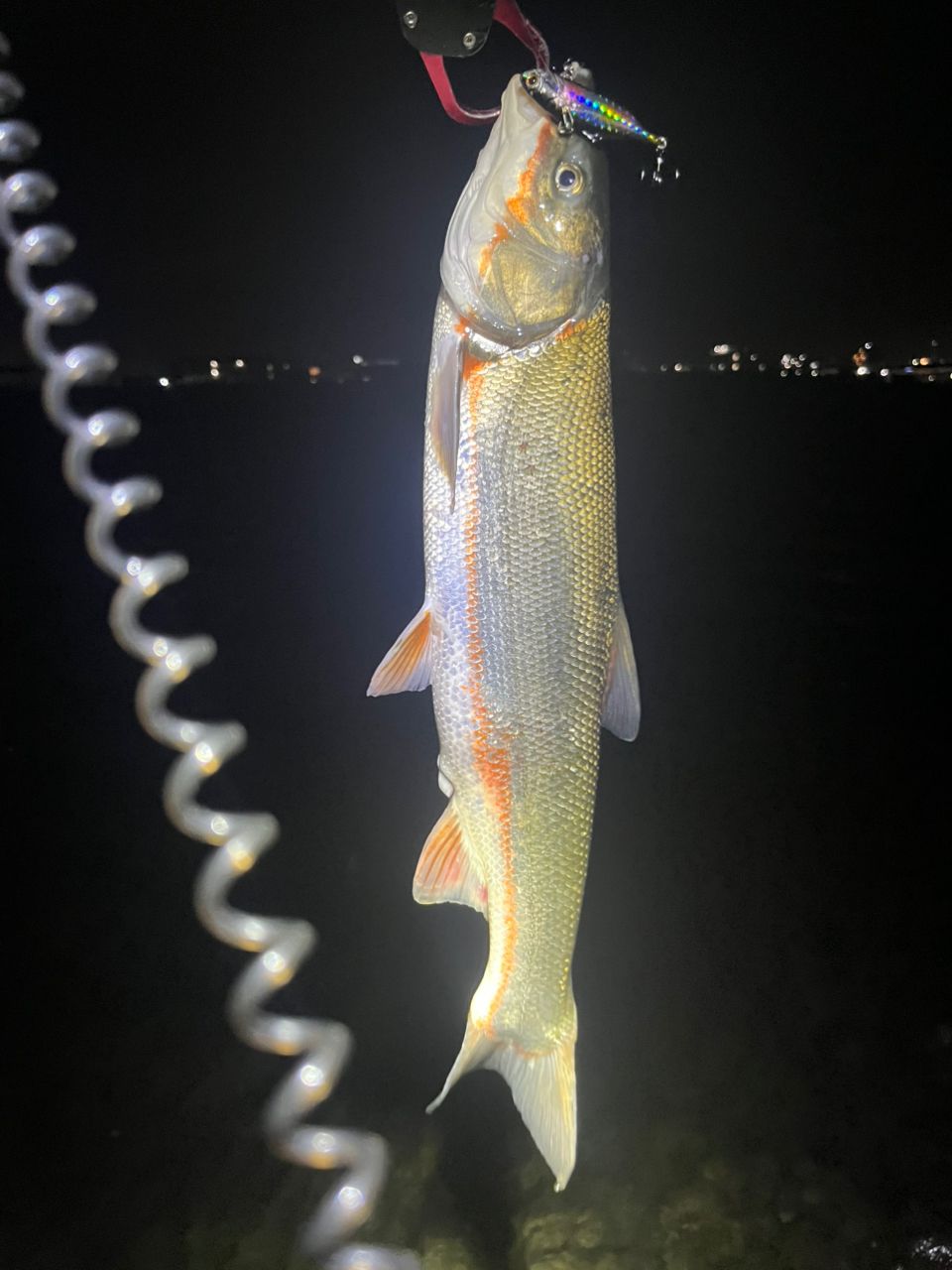 19 ヴァンキッシュc3000 19 ヴァンキッシュ C3000XGのスペックとインプレ | 釣りクラウド