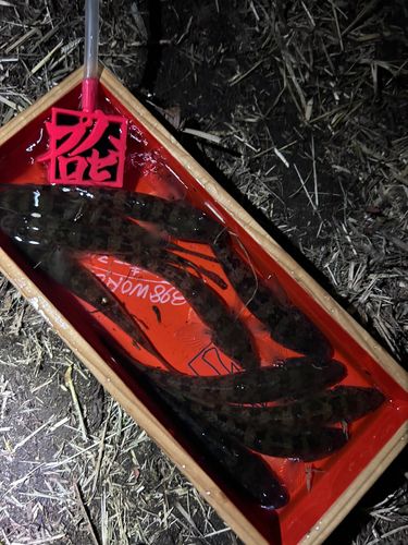 旧中川