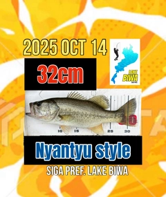 ラージマウスバスの釣果