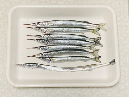 検見川浜突堤