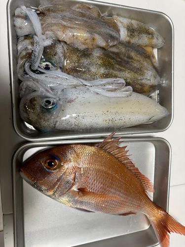 アジュール舞子
