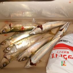 サバ