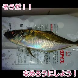 アジ