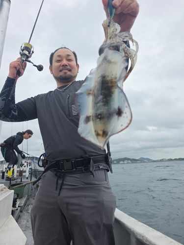 熊野灘
