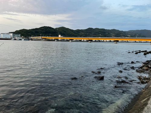 メッキの釣果