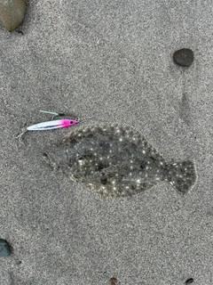 ソゲの釣果