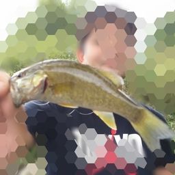 スモールマウスバス