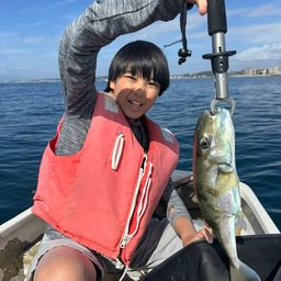 ショウサイフグ