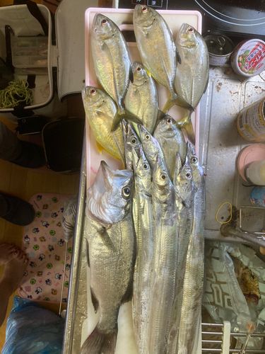 釣果