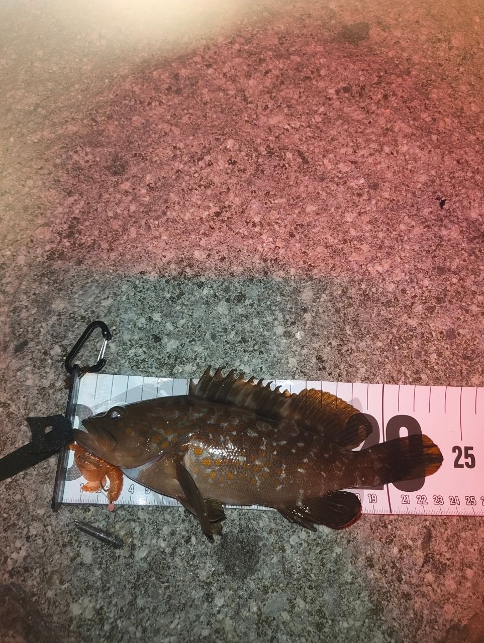 SHIMANO 19ハードロッカー　B76MH SHIMANO HARD ROCKER BB ロックフィッシュロッド B76MH シマノ