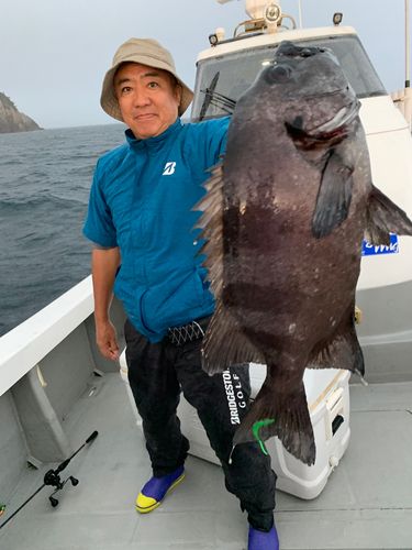 アコウの釣果