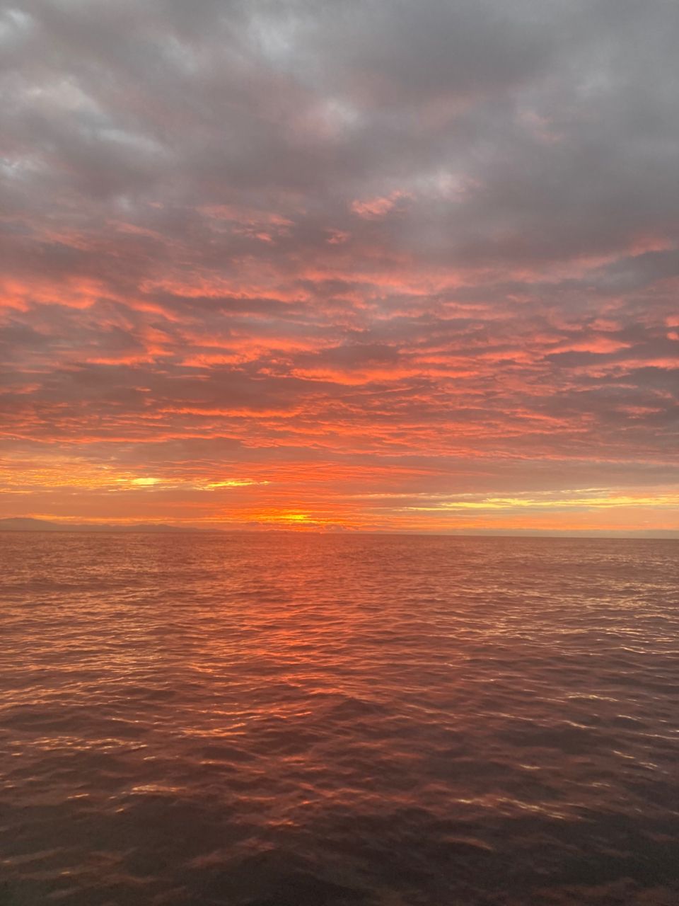 おぱんちゅパンサーさんの釣果 3枚目の画像