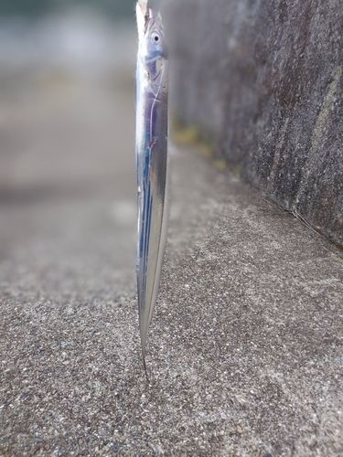 水軒鉄鋼団地