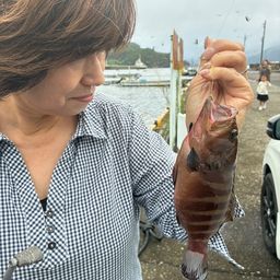 ヤミハタ