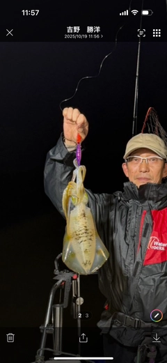 アオリイカの釣果