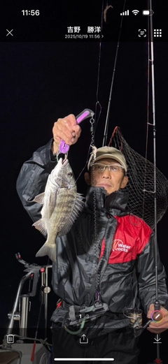 クロダイの釣果