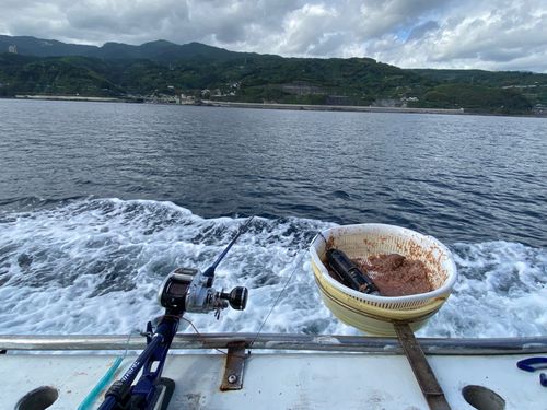 相模湾