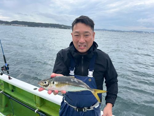 マアジの釣果