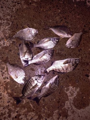 表浜名湖