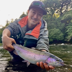 ニジマスの釣果