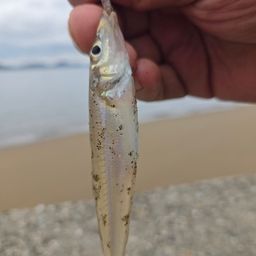 キス
