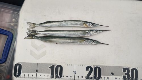 高洲海浜公園