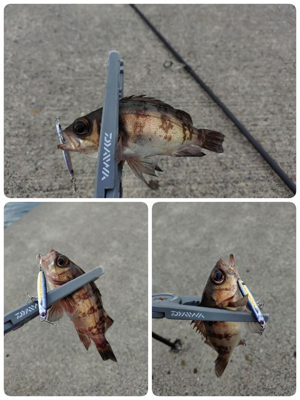 MajorCraft クロスライド 5G XR5-942ML/LSJの最安値・インプレ・釣果