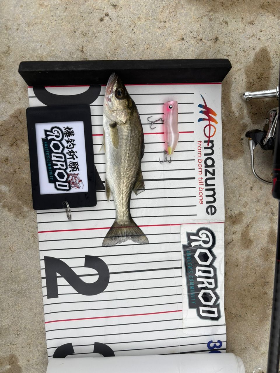 SHIMANO 20ゾディアス 270M-2の最安値・インプレ・釣果 | 本音の