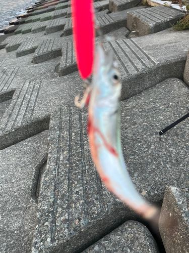 石狩湾新港