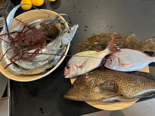 イセエビの釣果