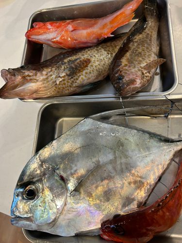 茅ヶ崎沖