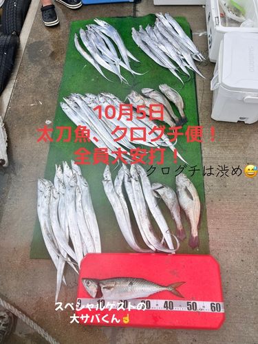 タチウオの釣果