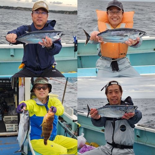 カツオの釣果