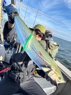 サワラの釣果