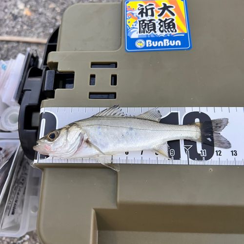 霞釣り公園