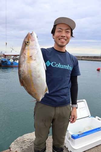 シオの釣果