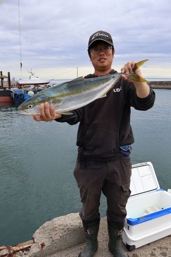 メジロの釣果