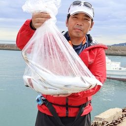 ハマチ