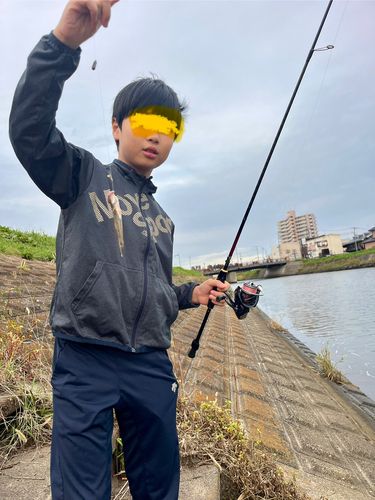 ハゼの釣果