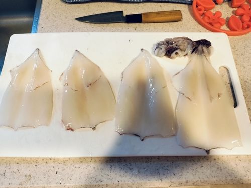 ヤリイカの釣果