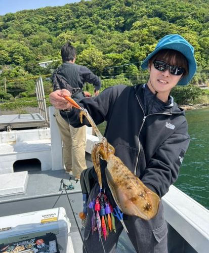 鹿児島湾北部