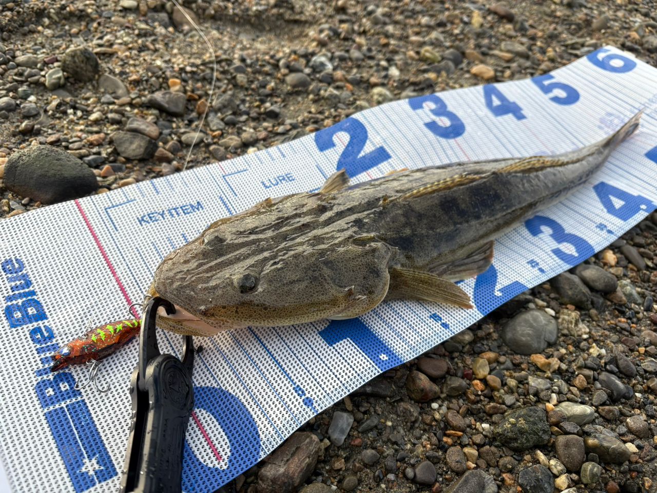 GCRAFT セブンセンスTR ミッドナイトジェティ リミテッド 17 MJLS-952