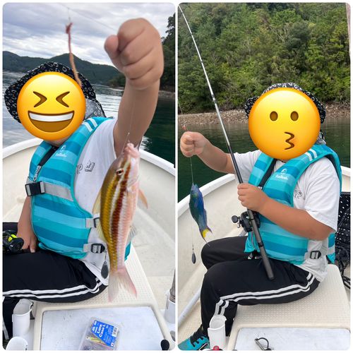 ミナベヒメジの釣果