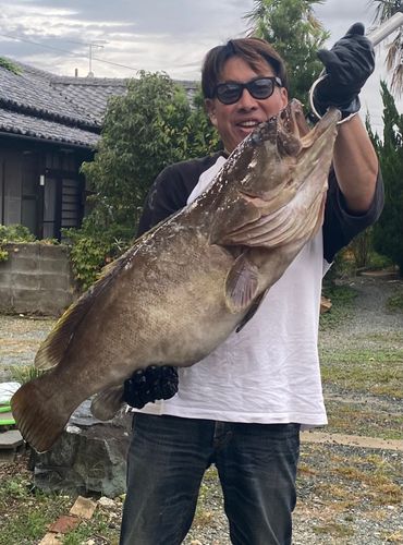 クエの釣果