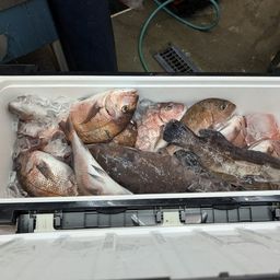 タイ