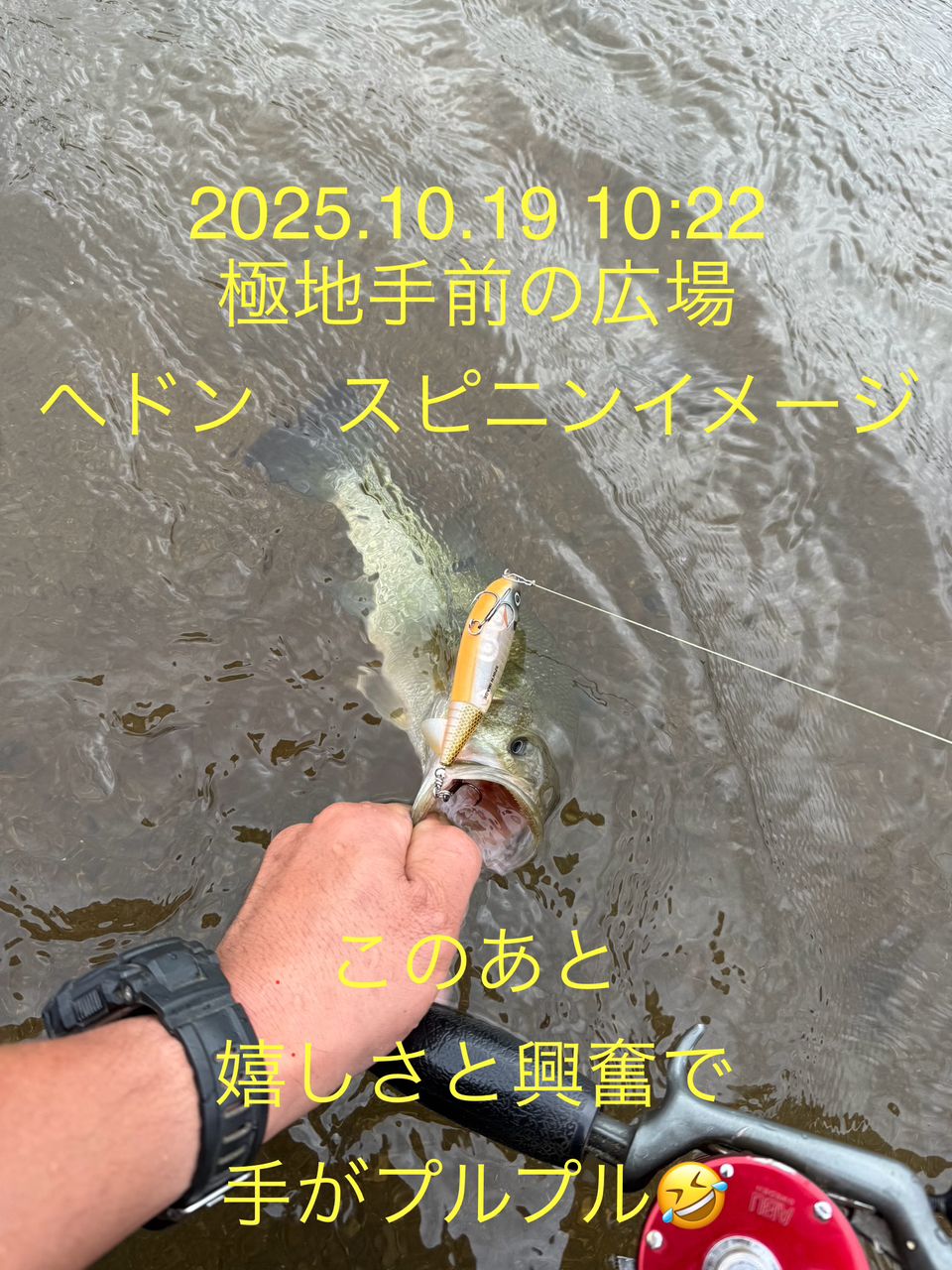 ラージマウスバス