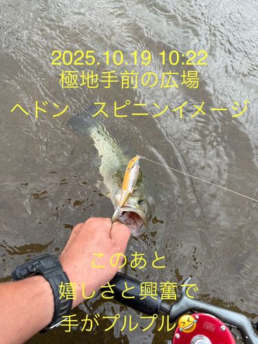 涸沼