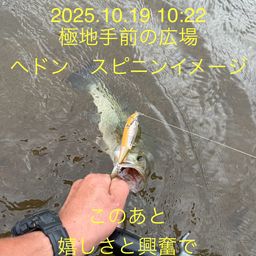 ラージマウスバス