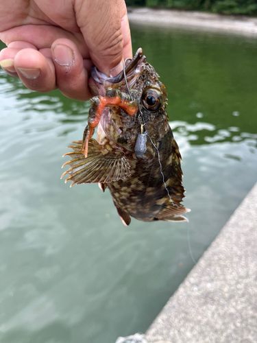 浦戸湾